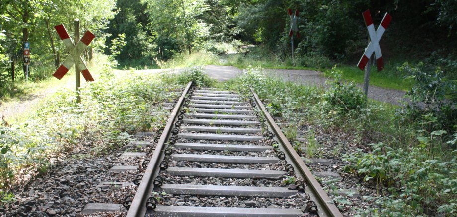 Das Foto zeigt die Bachbahn bei Weilerbach
