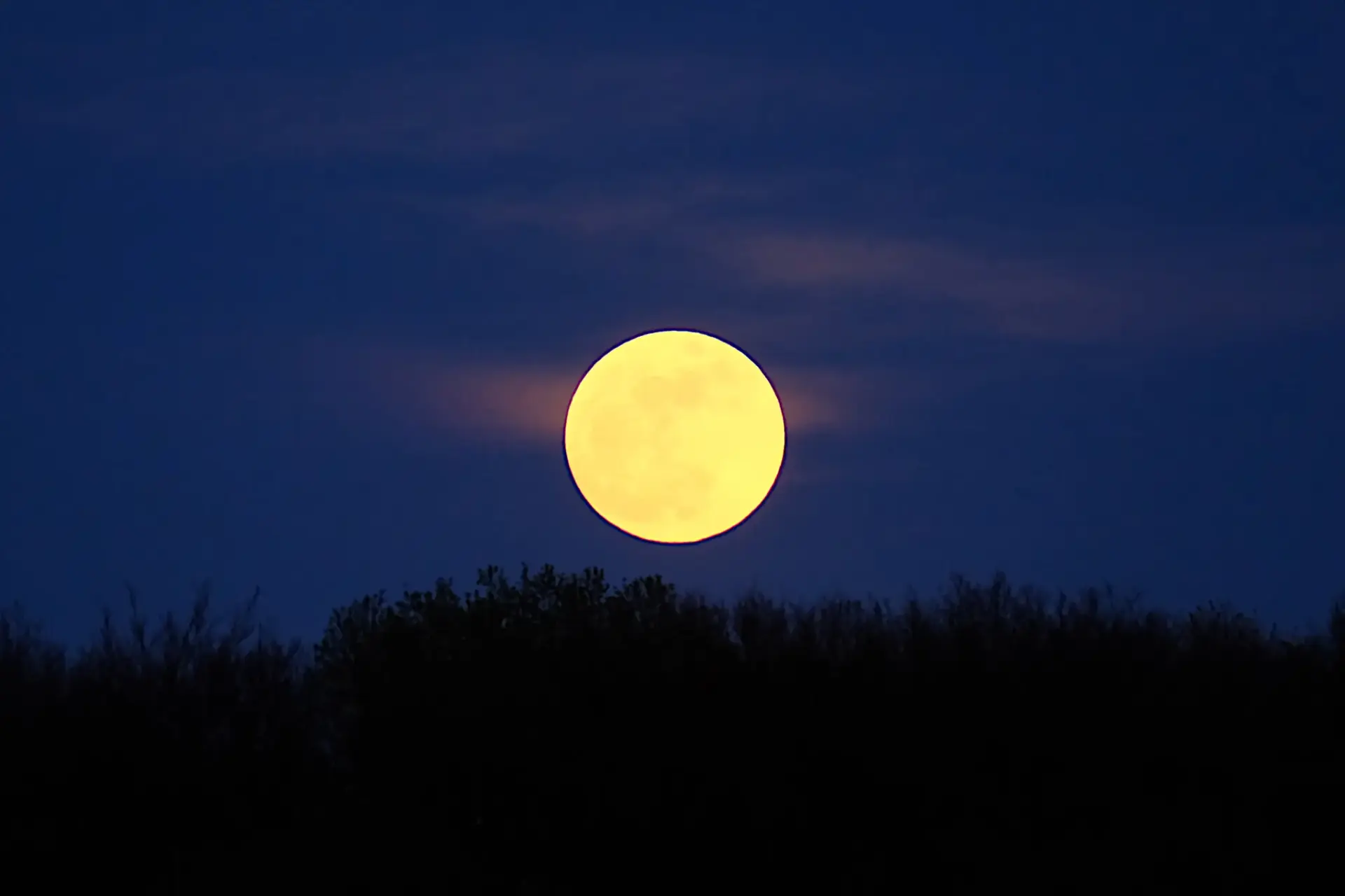 Das Foto zeigt den Mond
