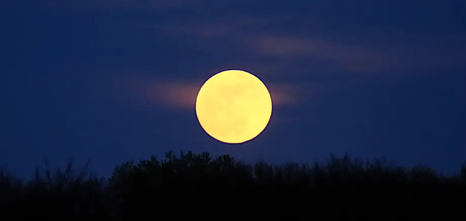 Das Foto zeigt den Mond