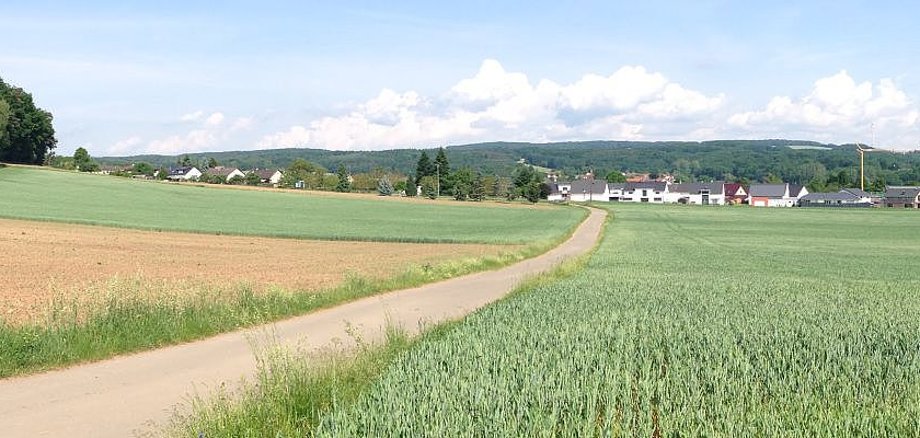 Das Bild zeigt die Landschaft südlich von Schwedelbach mit Blick auf die Ortslage